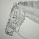 Horse pencil art