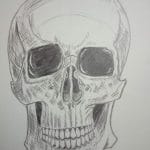Skull pencil art