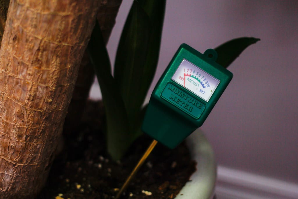 Moisture Meter For Plants Uses And Care