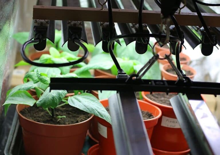 The Ultimate Guide On How To Choose The Best Grow Lights For Your Indoor Plants Home Gardening